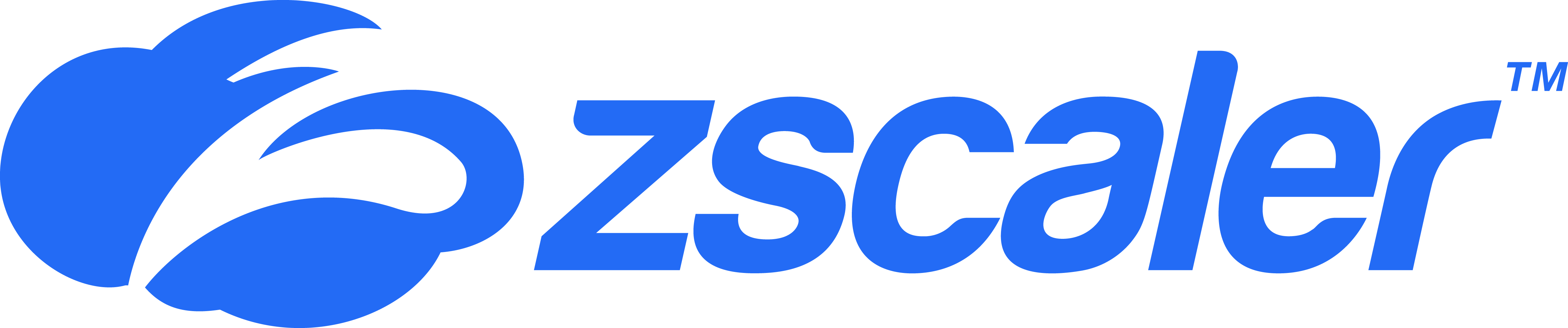 Zscaler logo Below is a list of our past and present clients.